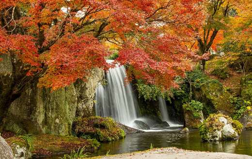 River creek waterfall
