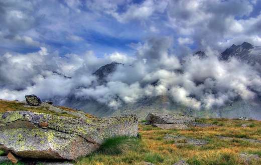 Trip exploration image nature