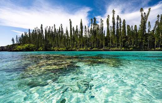 Nature water ocean image