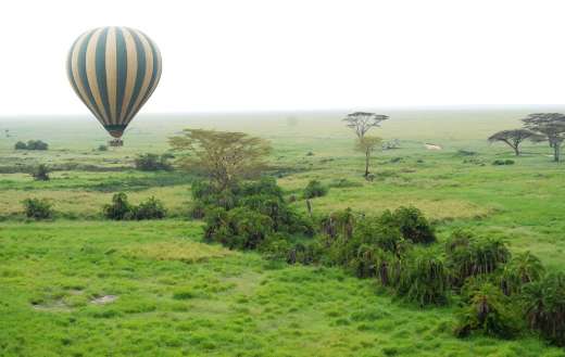 Balloon Serengeti Tanzania