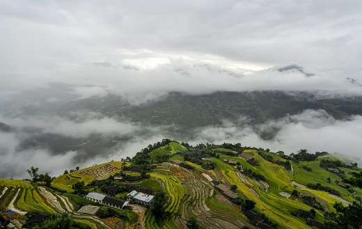 Residential paddy field step