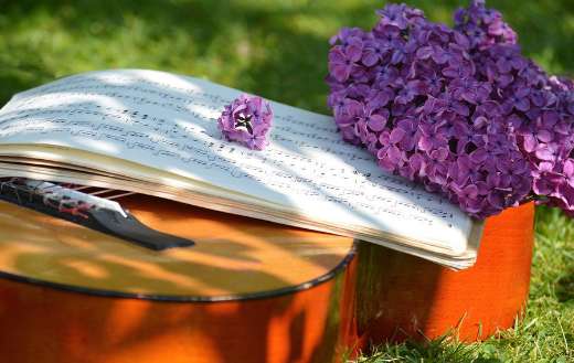 Guitar musical instrument