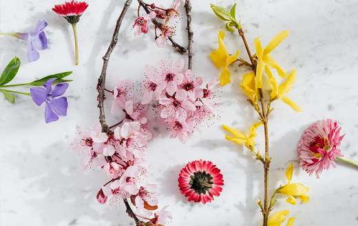 Colorful mix flowers online