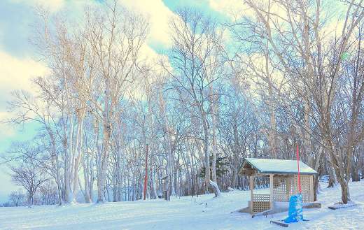 Otaru Japan snow winter