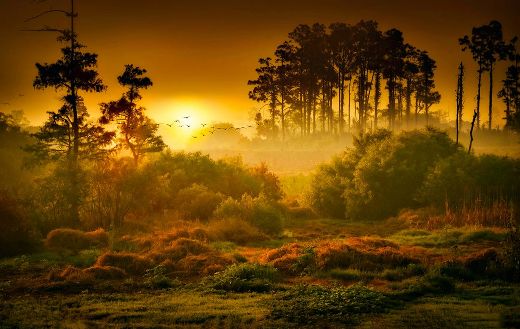 Beautiful nature landscape