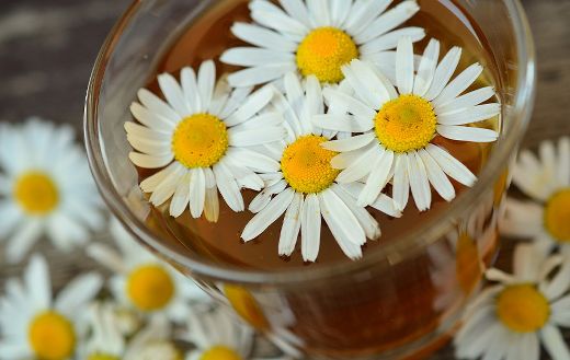 Chamomile drink online