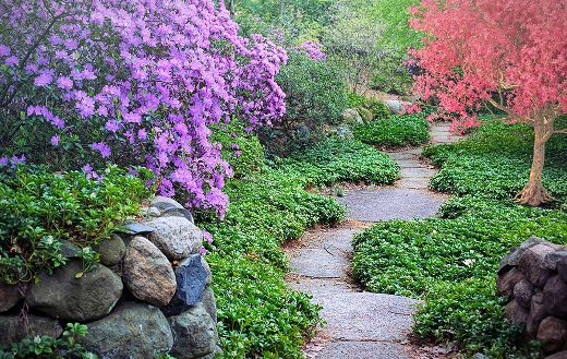 Flowering trees pathway