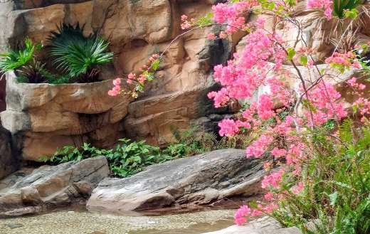 Spring equinox tree plants
