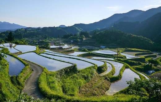 Japan rice terraces puzzle