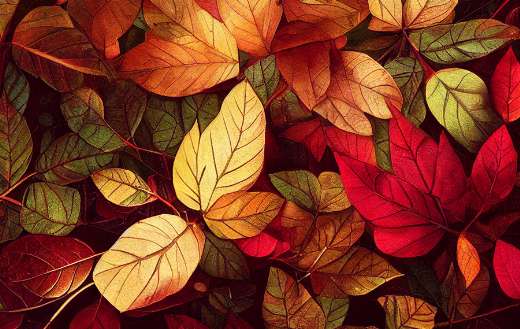 Colorful leaves online