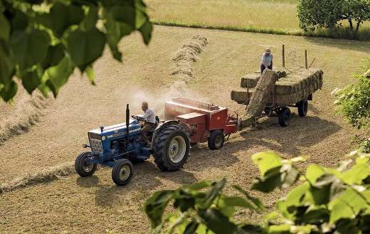 Agriculture hay farm