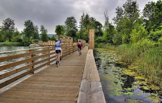 Lake bridge cycle track path