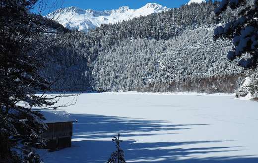 Austria tyrol online