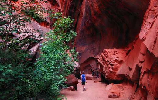Slot canyon online