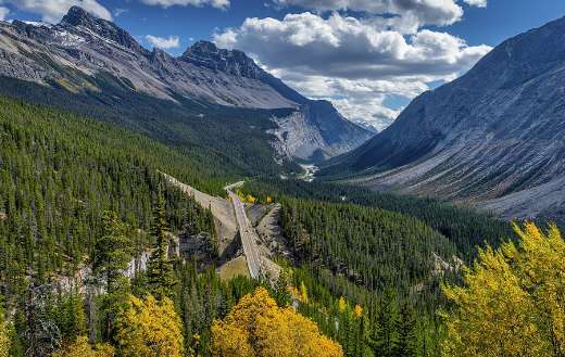 Valley mountains forest image