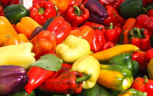 Healthy farmers fresh peppers