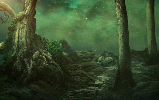 Mystical mossy trees area