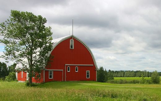 Orange wooden barn sorrounded with trees