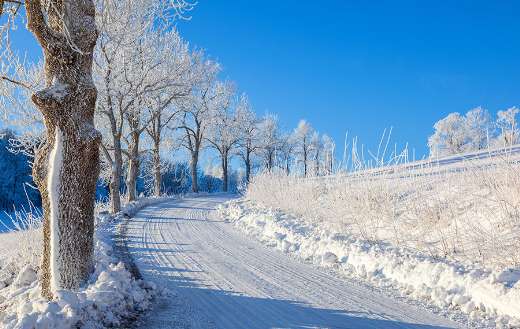 Tree lined winter road puzzle