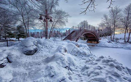 Bridge snow online
