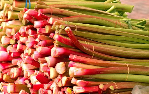 Fresh rhubarb food online