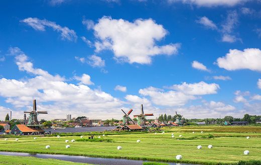 Green grass field farm online