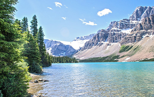 Trees mountains and water