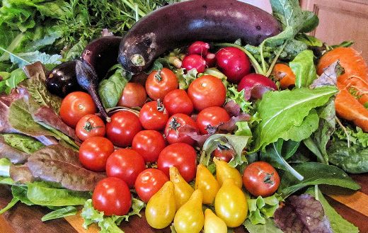 Farmer fresh vegetables