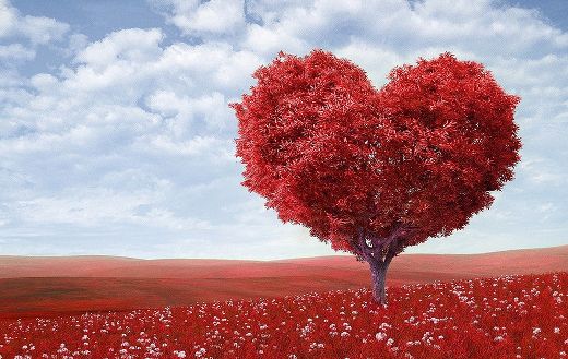 Heart shape red tree