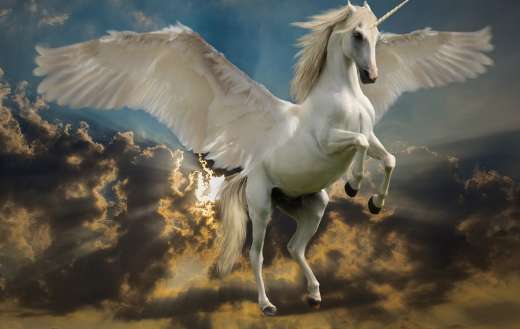 Fictional unicorn online