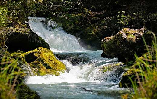 Roaring stream online