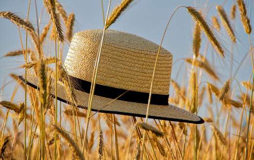 Straw hat summer image