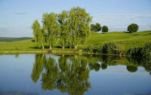 Landscape lake online