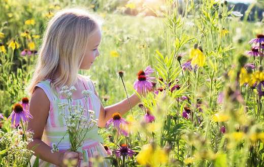 Little girl and wildflowers