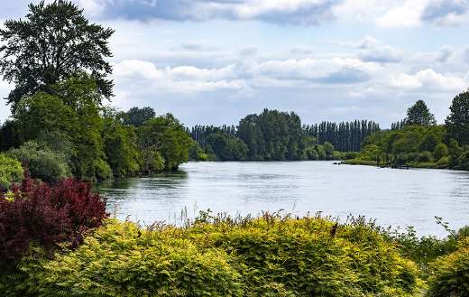 River middle the nature