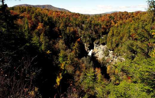 Autumn foliage lynn falls