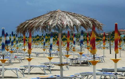 Beach nature sea online