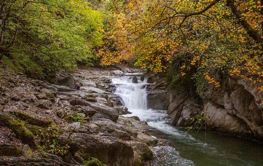 Stream nature landscape autumn