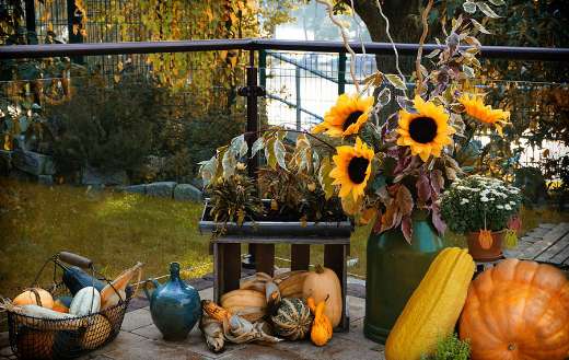 Fall pumpkin halloween decoration
