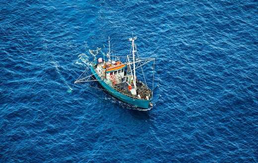 Fishing boat devonport