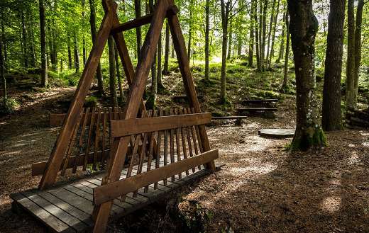 Little wooden forest bridge