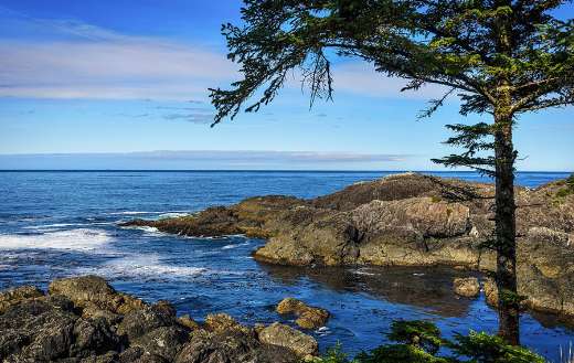 Rocky sea coast puzzle