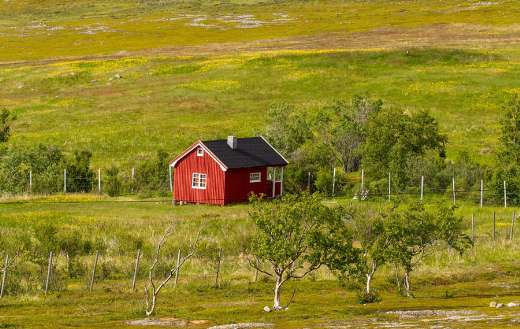 Cottage house landscape