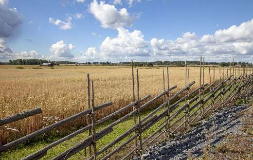 Fence surround grain field