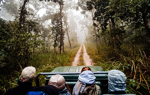 Chitwan-National-Park-jigsaw