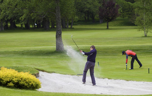 Golfing jigsaw puzzle