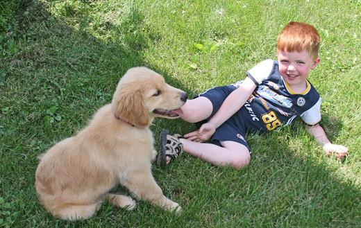 Puppy and boy jigsaw