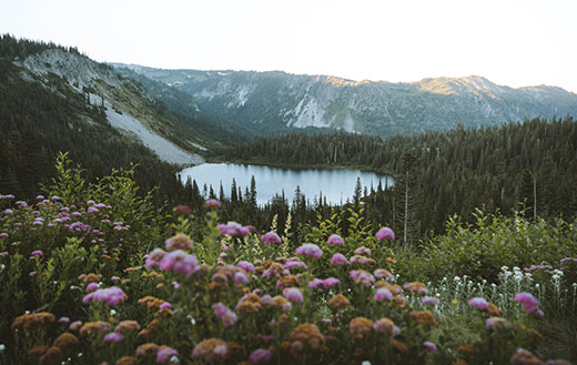 Mount-Rainier-jigsaw