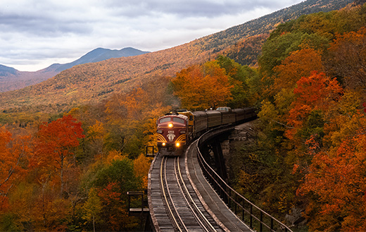 orange-train-between-fall-trees-k