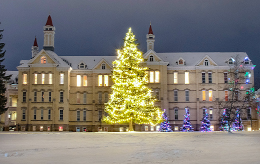 Lighted-trees-at-Michigan-State-Hospital